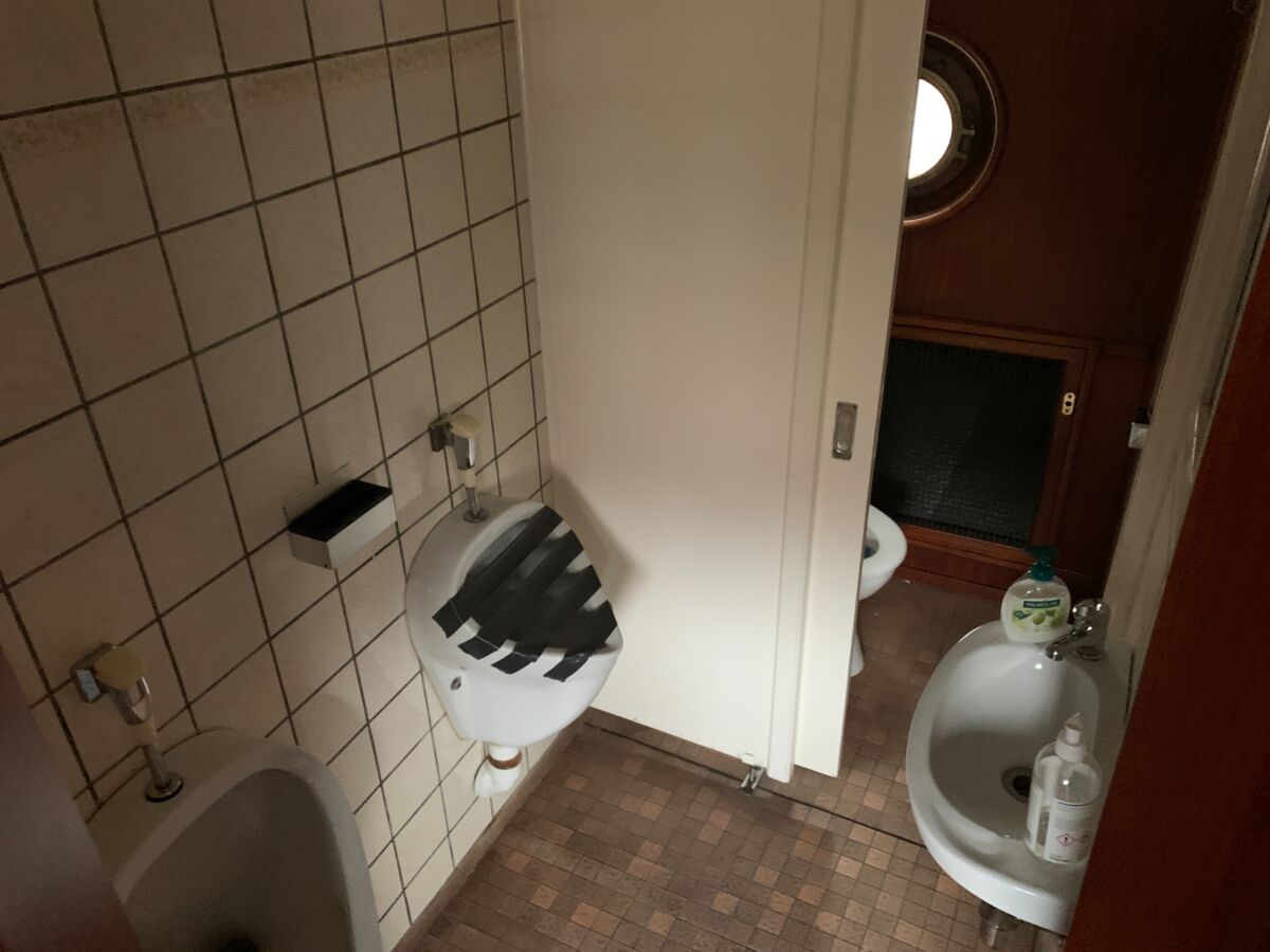 IMG 3718